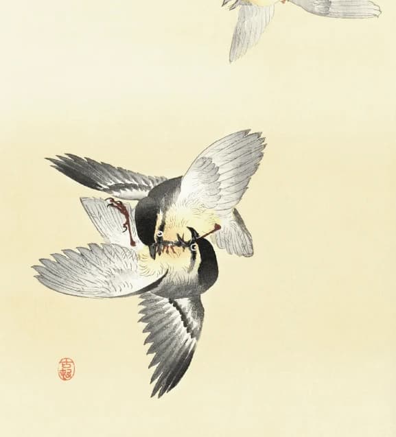 Twee vechtende vogels