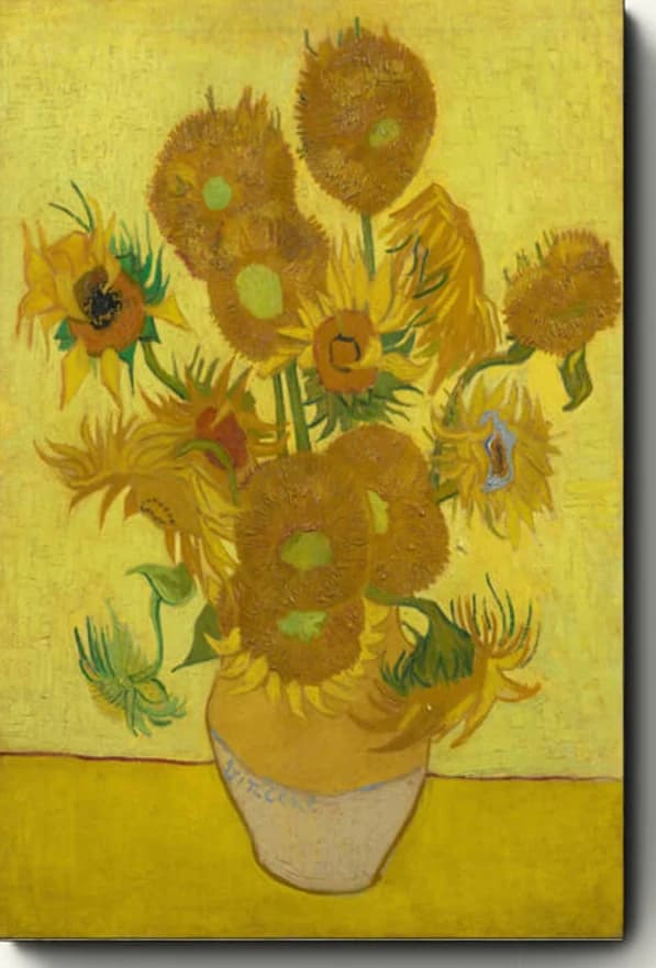 Zonnebloemen
